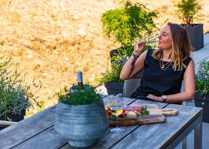 Vinelodge L Apartment Maikammer